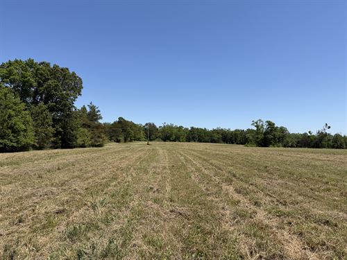Land for Sale in Tn, Open Land, 2.2 : Adamsville : Hardin County : Tennessee