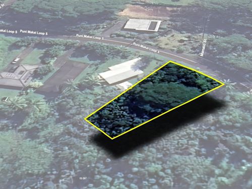 Well-Positioned Lot, $1,017.58 Down : Pahoa : Hawaii County : Hawaii