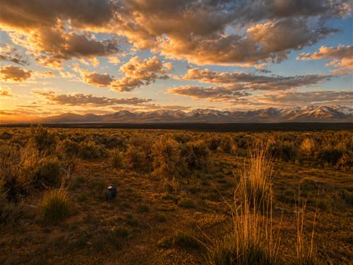 Front-Row Seat to Ruby Mountains : Spring Creek : Elko County : Nevada