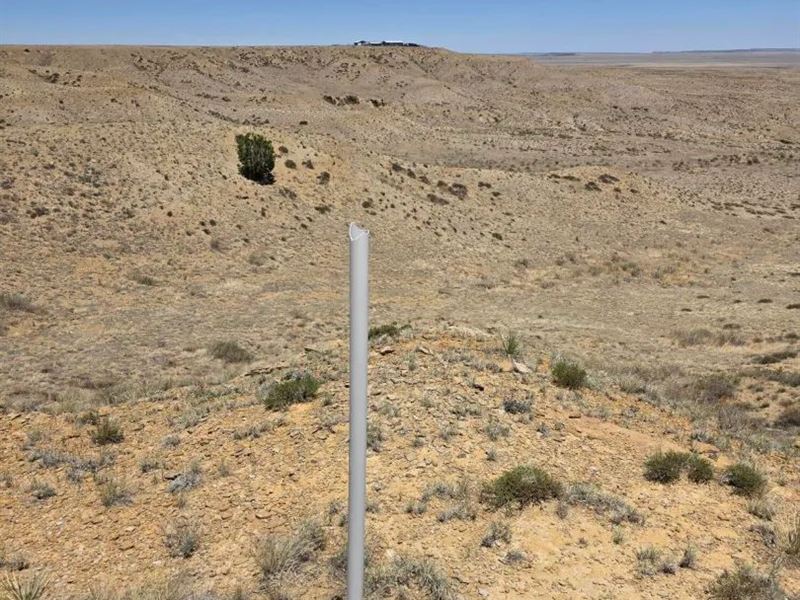 County Road 51, Model, CO 81059 : Model : Las Animas County : Colorado
