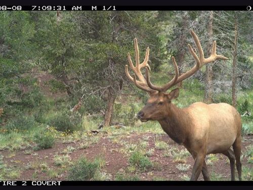 Spanish Peaks Ranch Estates 1 : Aguilar : Las Animas County : Colorado