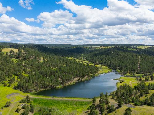 New Haven Ranch : Hulett : Crook County : Wyoming