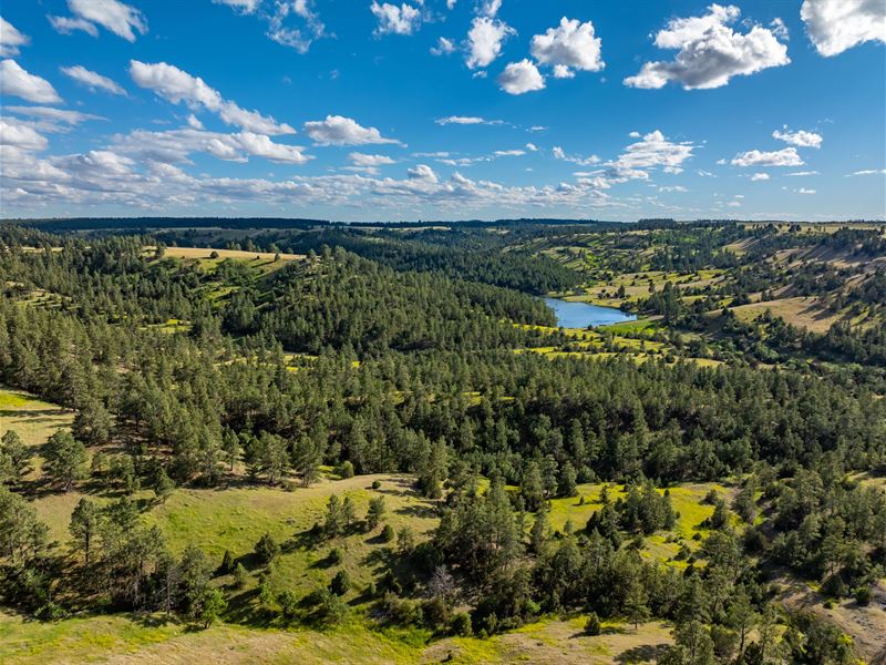 New Haven Ranch : Hulett : Crook County : Wyoming