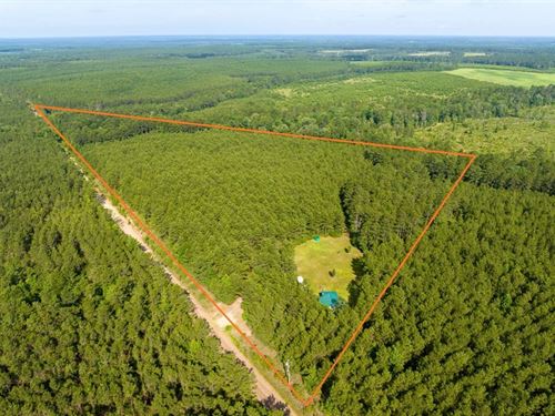 21 Acres, S. Caney Road : Groveton : Trinity County : Texas
