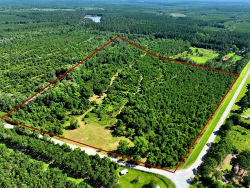 36 Ac Land For Sale Dodge Count : Eastman : Dodge County : Georgia