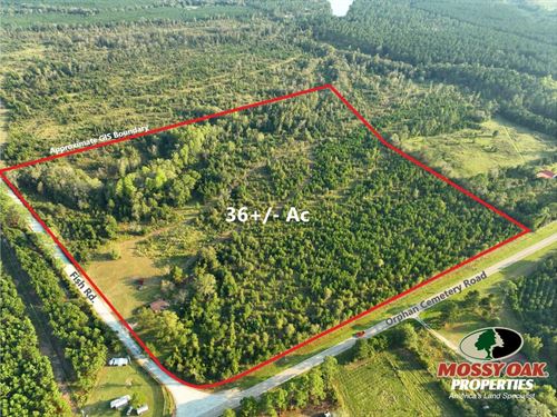 36 Ac Land For Sale Dodge Count : Eastman : Dodge County : Georgia