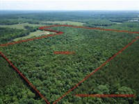 Turnkey Hunting Retreat, Cord 823 : Wadley : Randolph County : Alabama
