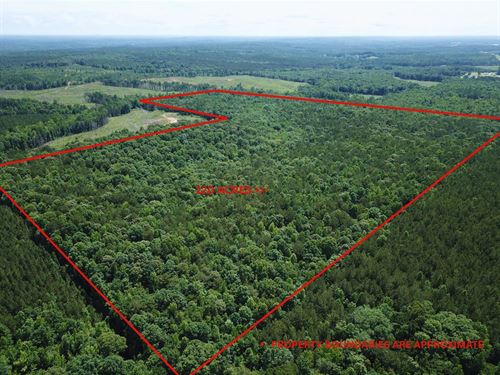 Turnkey Hunting Retreat, Cord 823 : Wadley : Randolph County : Alabama