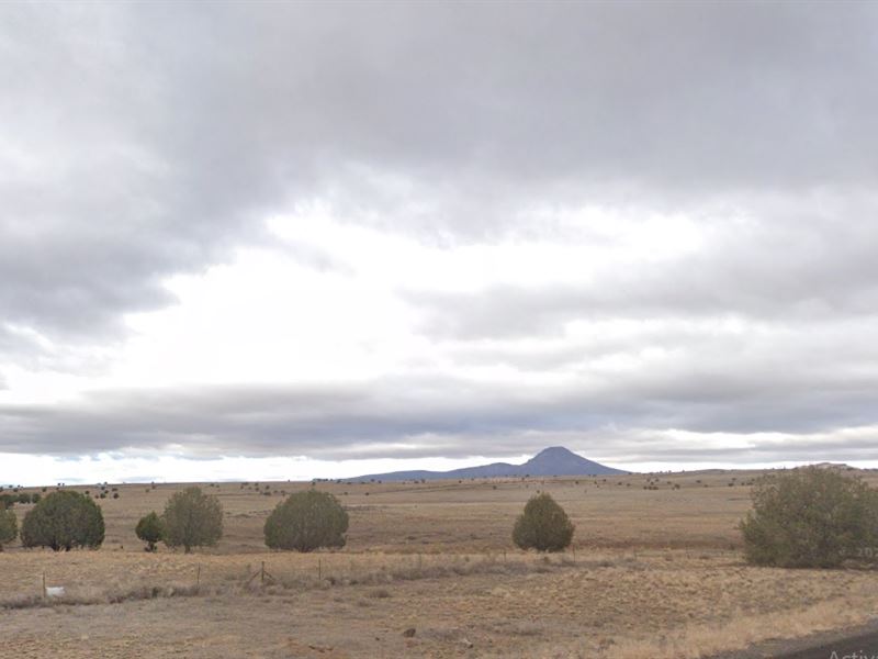 The Ultimate Blank Canvas : Williams : Coconino County : Arizona