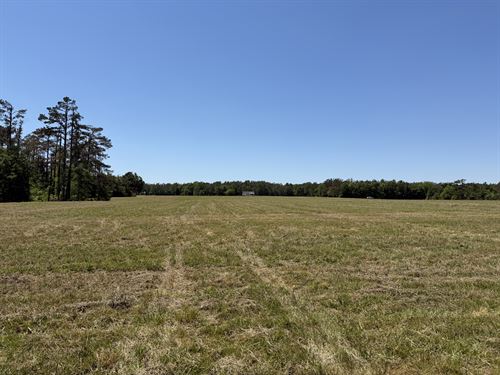 Land for Sale in Tn, Open Land, 2.1 : Adamsville : Hardin County : Tennessee