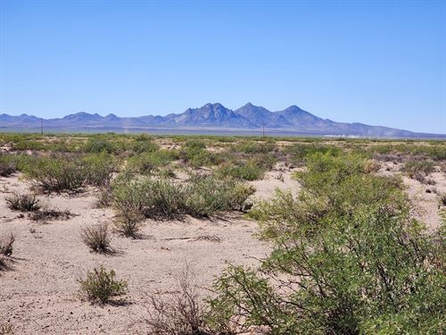 Silence, 3 Acres, NM : Deming : Luna County : New Mexico