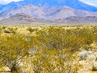 5 Acre Homestead in Golden Valley : Golden Valley : Mohave County : Arizona