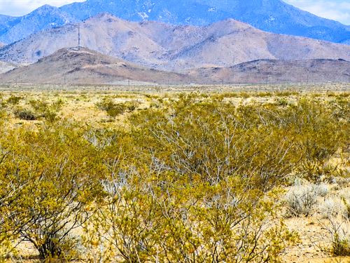5 Acre Homestead in Golden Valley : Golden Valley : Mohave County : Arizona