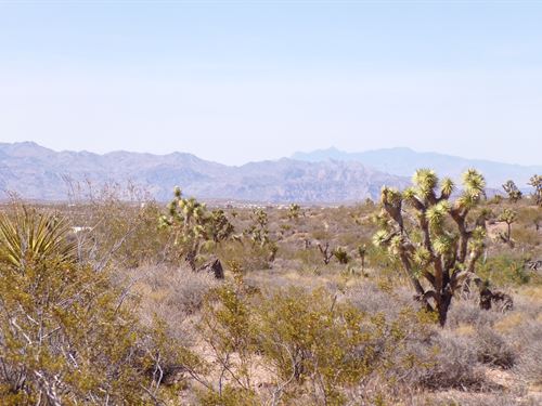 Flat Meadview Acre Near Lake Mead : Meadview : Mohave County : Arizona