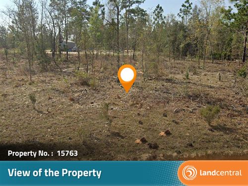 Corner Lot Near Gorgeous Lakes : Putnam : Florida