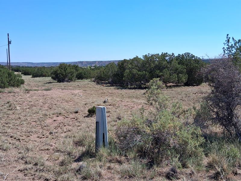 Easy Homesite with Power and Water : Concho : Apache County : Arizona