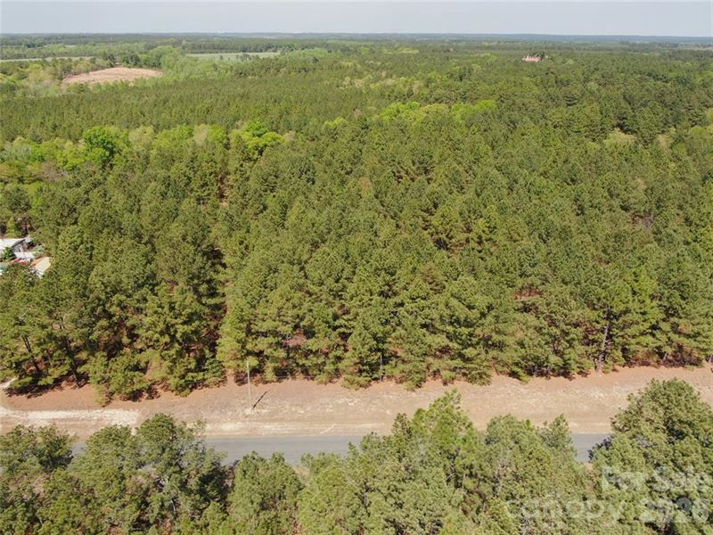 Affordable Wooded Acre in Candor : Candor : Montgomery County : North Carolina