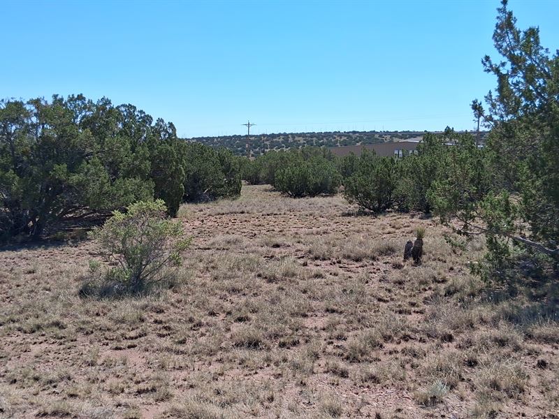 Corner Homesite Near Concho Roads : Concho : Apache County : Arizona