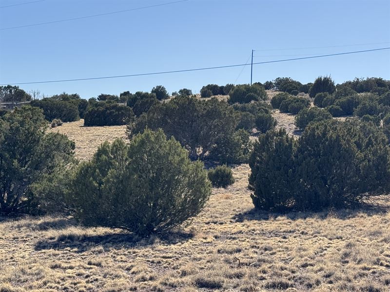 In Town Lot with Power and Water : Concho : Apache County : Arizona