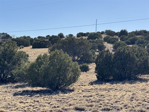 In Town Lot with Power and Water : Concho : Apache County : Arizona