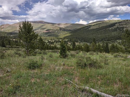 Remote 46 Acre Mountain Parcel : Alma : Park County : Colorado
