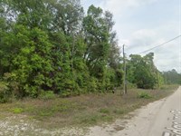 .22 Acres in Florida, $200/Mo : Satsuma : Putnam County : Florida