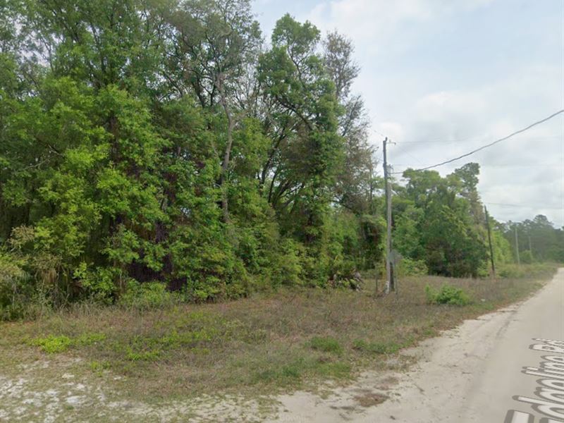 .22 Acres in Florida, $200/Mo : Satsuma : Putnam County : Florida