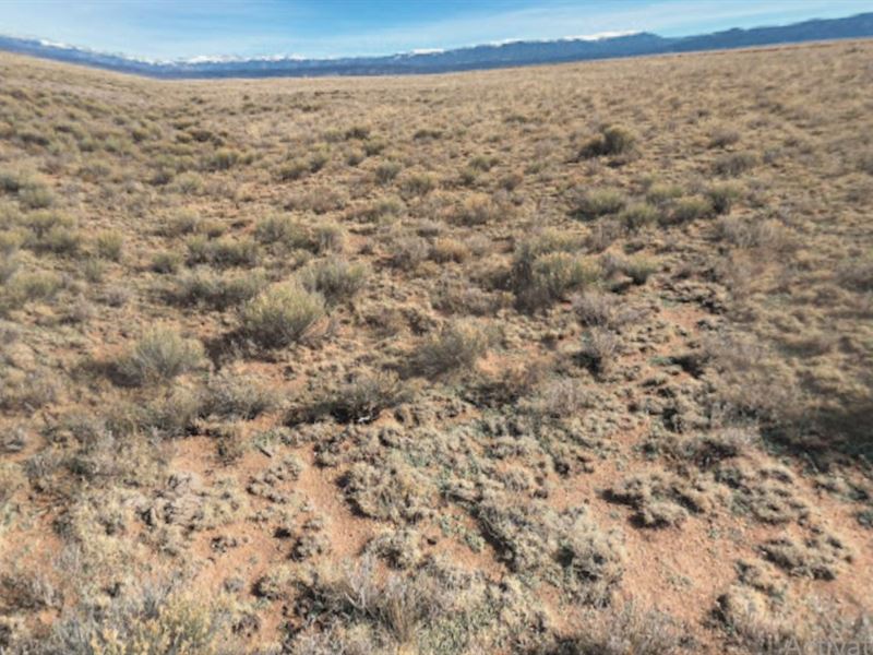 Juneteenth Special- 4.96 Acres : Jaroso : Costilla County : Colorado