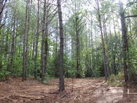 Fantastic Location in N. Monroe Co : Forsyth : Monroe County : Georgia