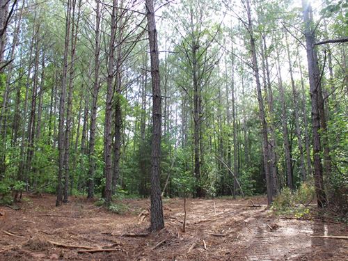 Fantastic Location in N. Monroe Co : Forsyth : Monroe County : Georgia