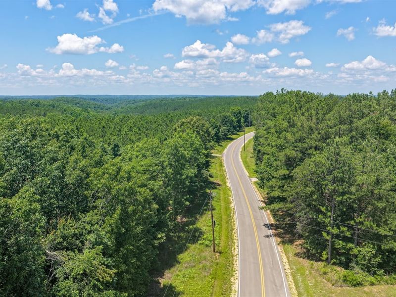 Darbytown Ridge Road Tract : Hohenwald : Lewis County : Tennessee