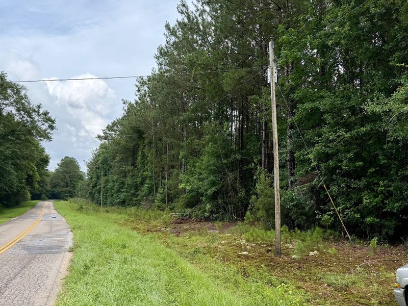 43 Acres County Rd 8 : Andalusia : Conecuh County : Alabama