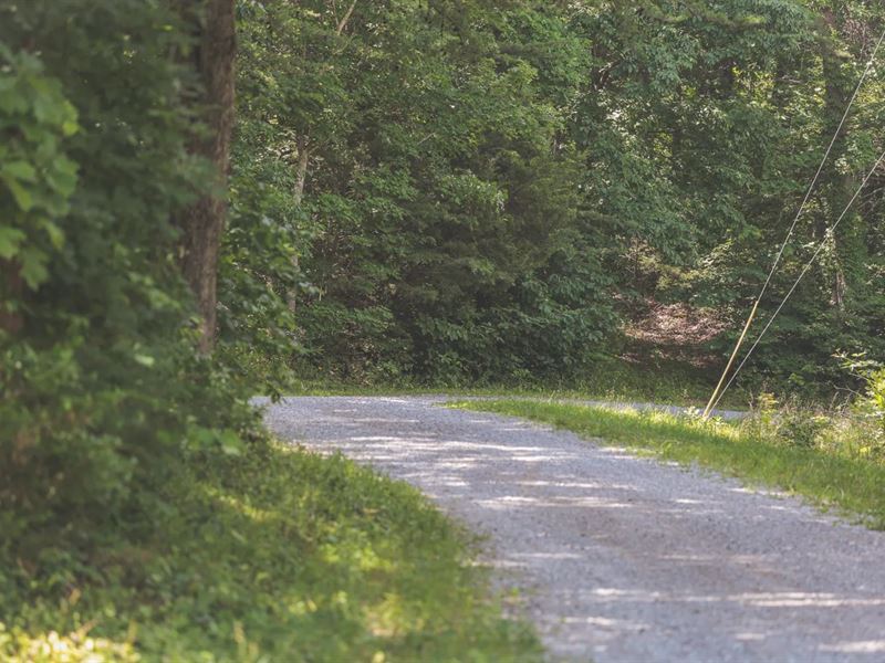 75 Acres in Van Buren County, TN : Spencer : Van Buren County : Tennessee
