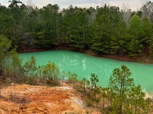 42.5 Acres in Kemper County, MS : Preston : Kemper County : Mississippi