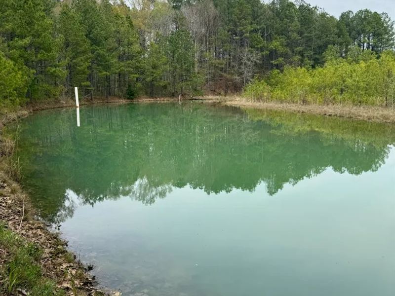 55 Acres in Kemper County, MS : Preston : Kemper County : Mississippi