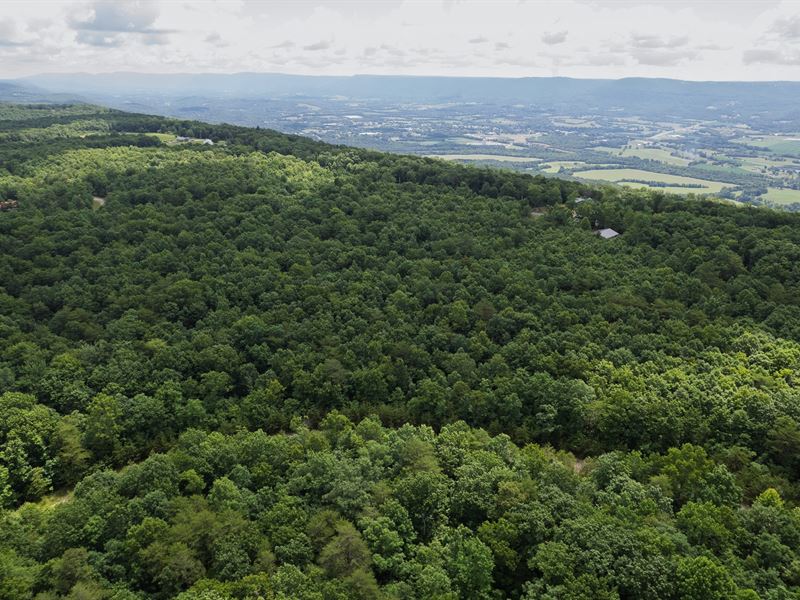 3.37 Acres, Hawks Bluff, Pikevill : Pikeville : Bledsoe County : Tennessee