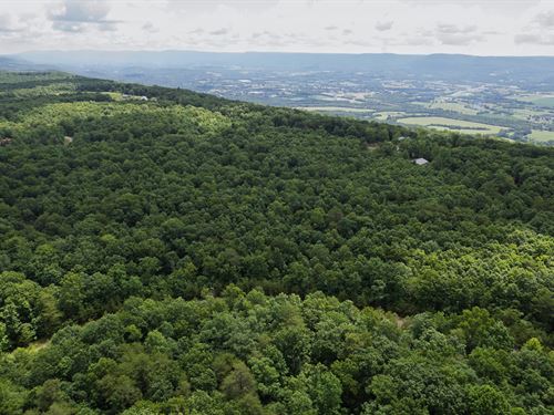 3.37 Acres, Hawks Bluff, Pikevill : Pikeville : Bledsoe County : Tennessee