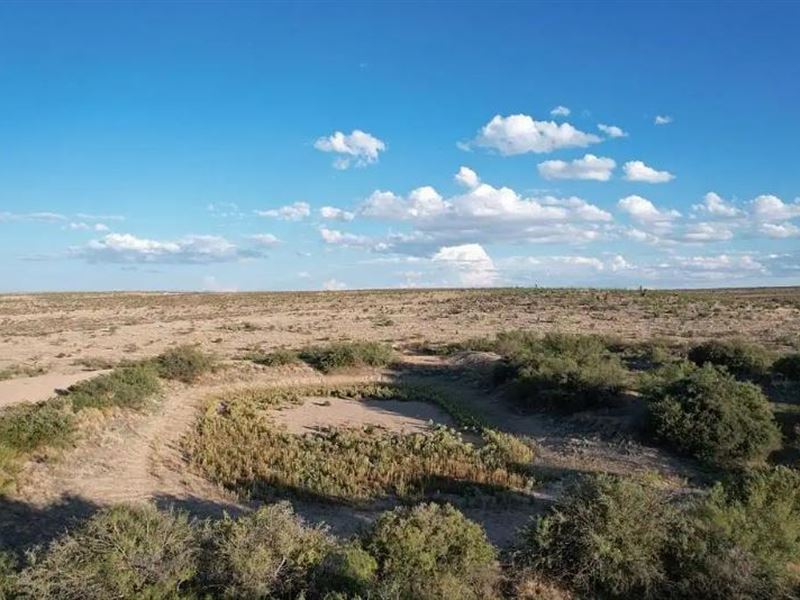 Unbelievable West Texas Investment : Finlay : Hudspeth County : Texas
