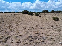 Off-Grid Lot Ideal for Solar Use : Concho : Apache County : Arizona