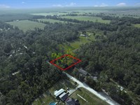 Build or Camp Near Suwannee River : Live Oak : Suwannee County : Florida