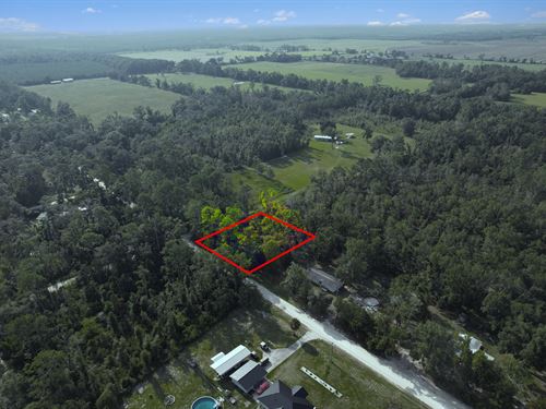 Build or Camp Near Suwannee River : Live Oak : Suwannee County : Florida