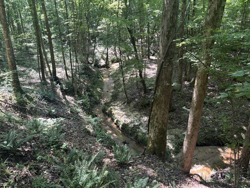 Old Calhoun Falls Tract A : Abbeville : South Carolina