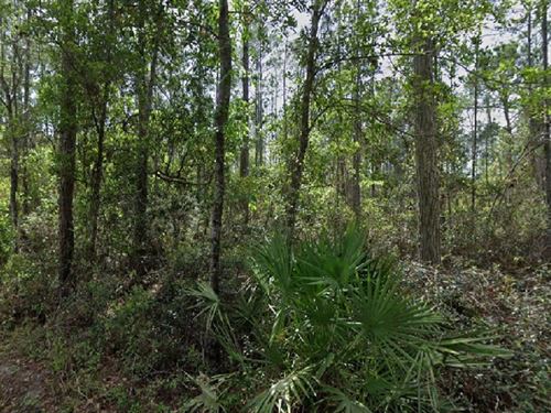 Build It, Grow It, $359/Mo : Palatka : Putnam County : Florida