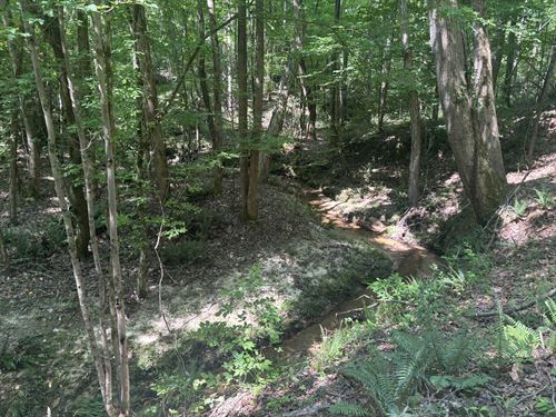 Old Calhoun Falls Tract B : Abbeville : South Carolina