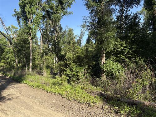 Your Family's Weekend Basecamp : Live Oak : Suwannee County : Florida