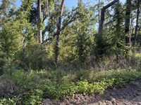 Build an Affordable Life : Live Oak : Suwannee County : Florida