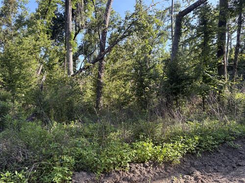 Build an Affordable Life : Live Oak : Suwannee County : Florida