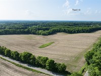 Land Auction, Laporte County, IN : Mill Creek : LaPorte County : Indiana