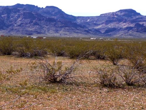 The Land You Keep Almost Buying : Golden Valley : Mohave County : Arizona
