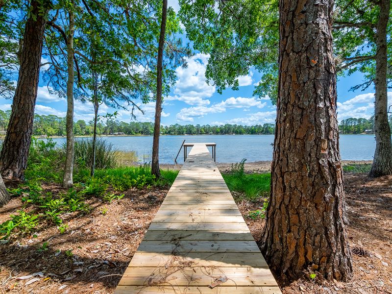 Perfect Private Lakefront Living : Hawthorne : Putnam County : Florida